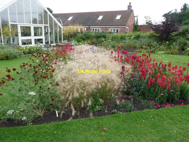 Photo 6"x4" Flower bed at Abbeywood gardens Delamere\/SJ5669 c2015