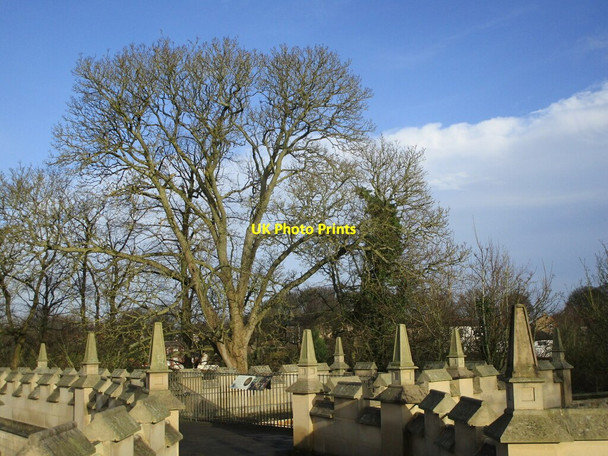 Photo 6"x4" Pinnacles and trees Bolsover c2022