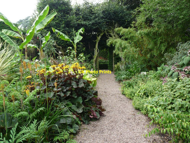 Photo 6"x4" Gravel path in the formal garden at Abbeywood Delamere\/SJ5669 c2015