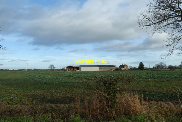 Photo 6"x4" Towards Allotment Farm West End\/SE5835 c2022