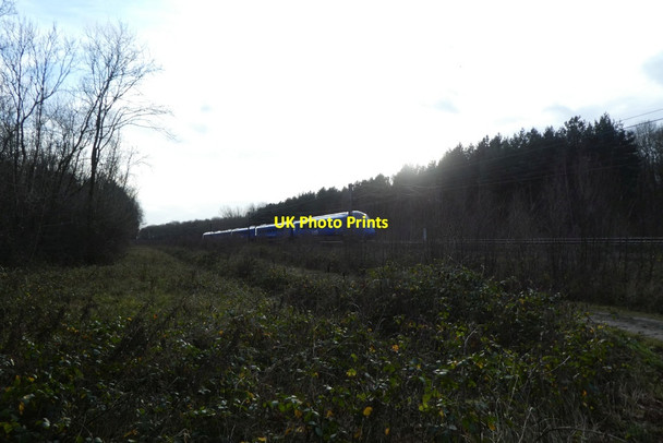 Photo 6"x4" Lumo train passing through Bishop Wood Biggin\/SE5434 c2022