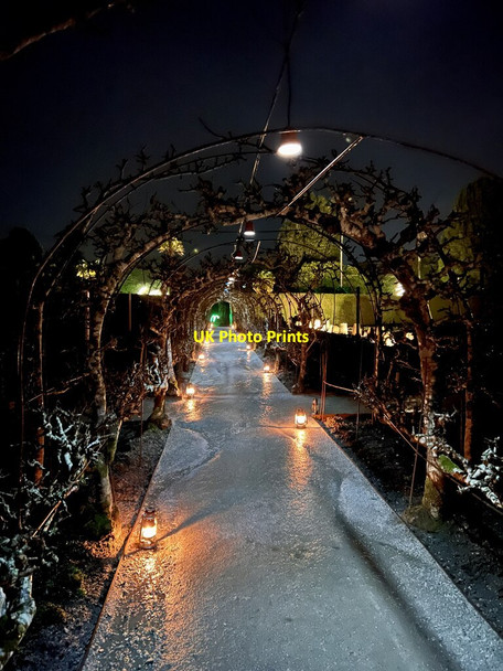 Photo 6"x4" Kitchen Garden Kestle\/SW9945 c2021