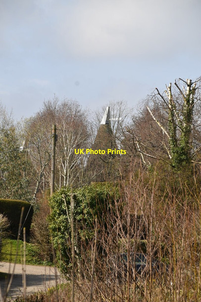 Photo 6"x4" Little Bokes Seacox Heath c2021