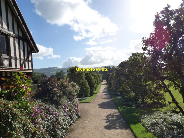 Photo 6"x4" Apple trees at Powis Castle Welshpool\/Y Trallwng c2016