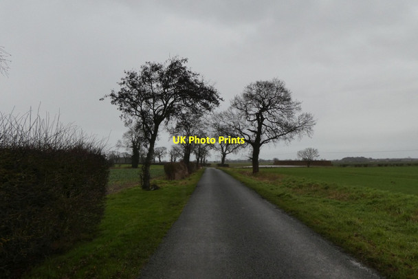 Photo 6"x4" Road towards Stillingfleet Kelfield\/SE5938 c2022