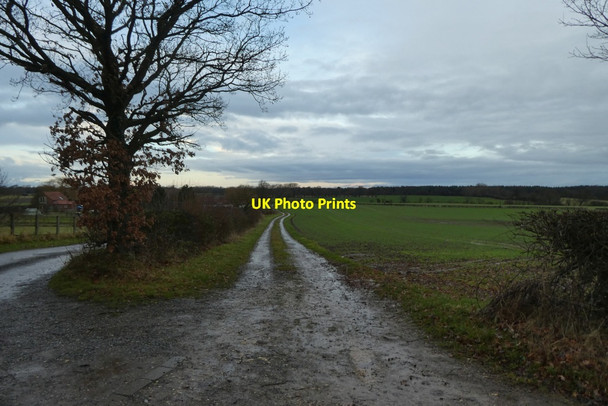 Photo 6"x4" Track near Beck Farm Stillingfleet c2022