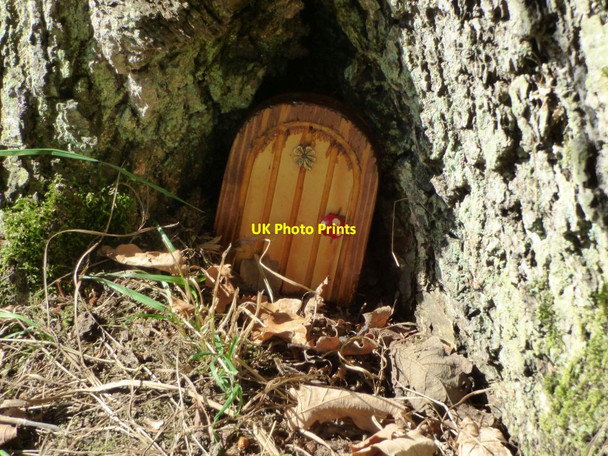 Photo 6"x4" Lavender the Elf's house Welshpool\/Y Trallwng c2016