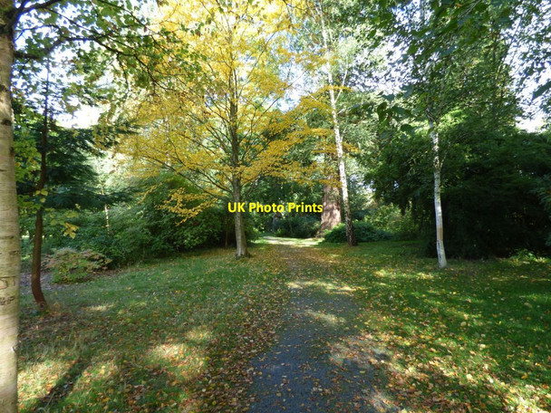 Photo 6"x4" Path through the wild part of Powis Castle grounds Welshpool\/Y Trallwng c2016