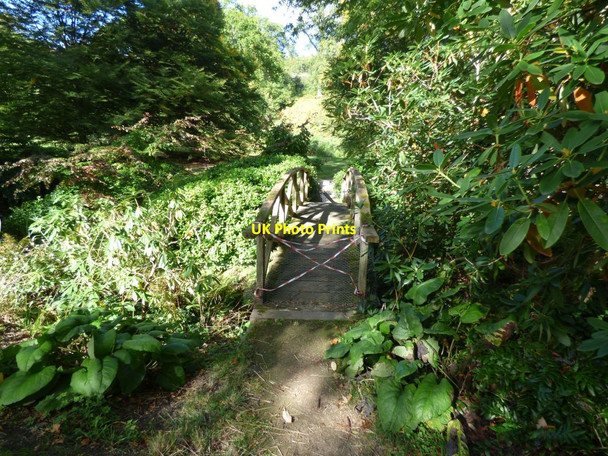 Photo 6"x4" Footbridge over the stream to the Stable Pool Welshpool\/Y Trallwng c2016