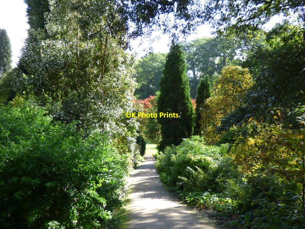 Photo 6"x4" The path to the Great Lawn from the Stable Pool Welshpool\/Y Trallwng c2016