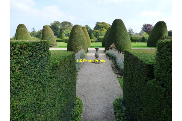 Photo 6"x4" View of the Topiary between the hedges of the Rose Garden Bronygarth c2016