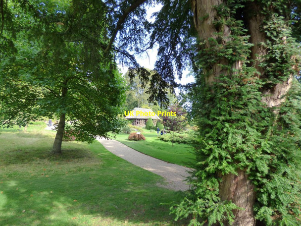 Photo 6"x4" The Hawk House Bronygarth c2016