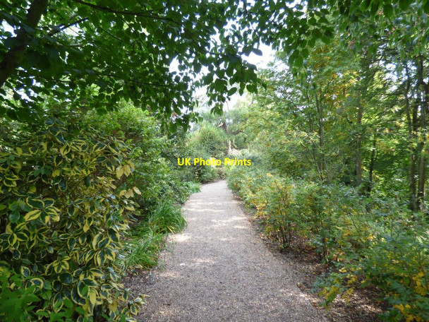 Photo 6"x4" Path along the edge of the garden Bronygarth c2016