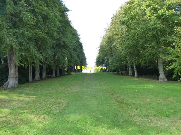 Photo 6"x4" View up the slope to Hercules Bronygarth c2016