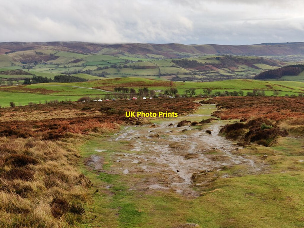 Photo 6"x4" Cross Britain Way descending the Stiperstones Bo c2022