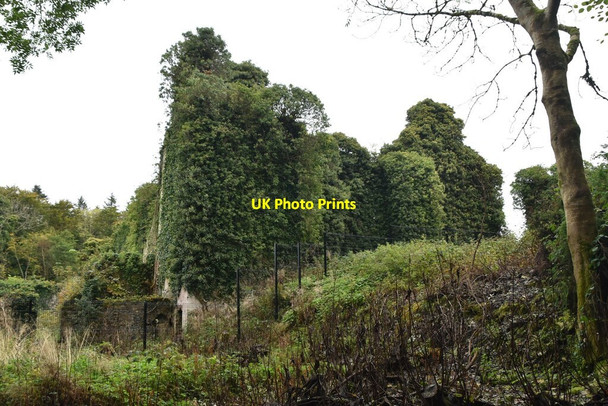 Photo 6"x4" Castle Caldwell Belleek c2021