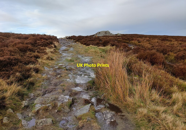 Photo 6"x4" Cross Britain Way on the Stiperstones Bo c2022
