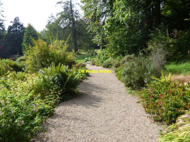 Photo 6"x4" Path through a rock garden near the Hawk House Bronygarth c2016