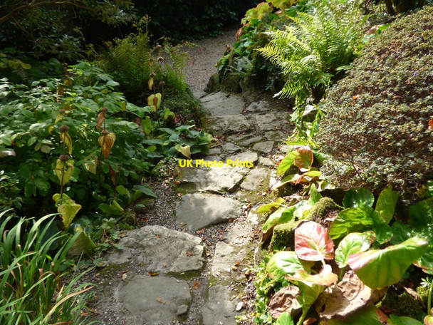 Photo 6"x4" Steps down to the path behind the Hawk House Bronygarth c2016