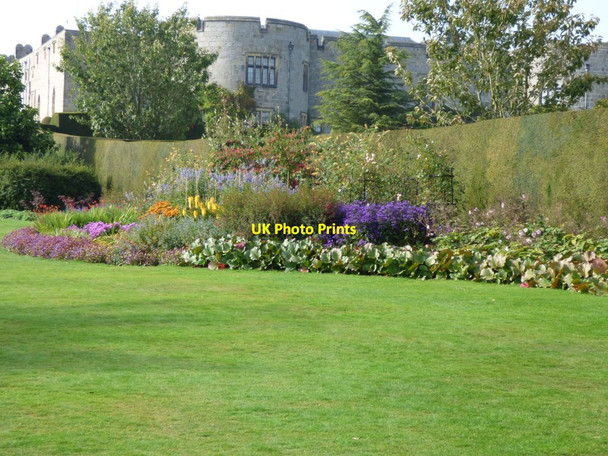 Photo 6"x4" Herbaceous border Bronygarth c2016