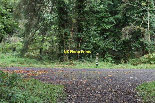 Photo 6"x4" Track junction Kesh\/H1863 c2021