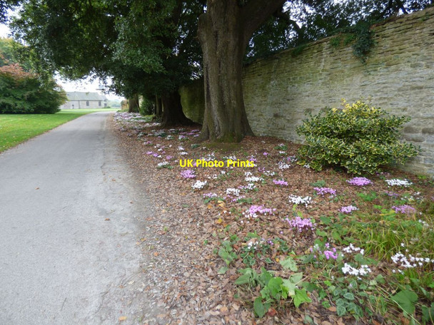 Photo 6"x4" Path from the Gothic Arch to the Castle Croft\/SO4565 c2016
