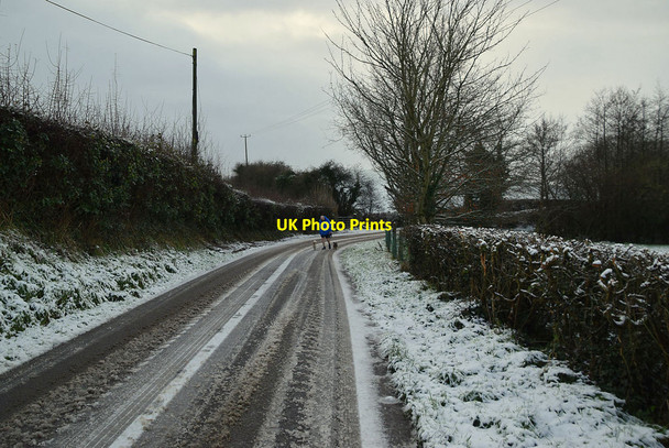 Photo 6"x4" Dog walker along Cappagh Road Mountjoy\/H4277 c2022