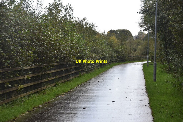 Photo 6"x4" Waterside Greenway Londonderry\/C4316 c2021 P1