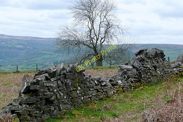 Photo 6"x4" Above Cwm Gwenffrwd Llangenny c2009