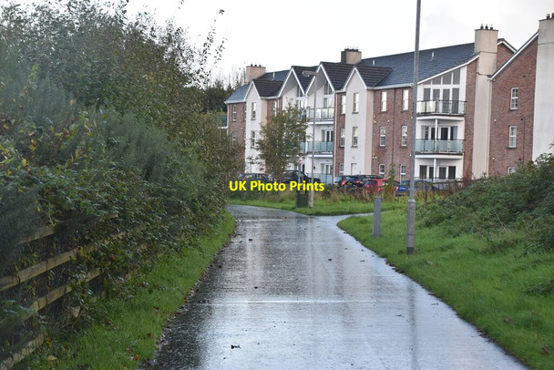 Photo 6"x4" Waterfoot Park Londonderry\/C4316 c2021