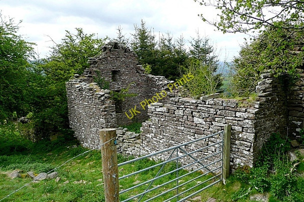 Photo 6"x4" Above Dan-y-cefn Llangenny c2009