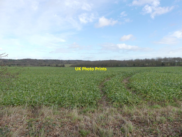 Photo 6"x4" Arable Landscape Frogshall c2022