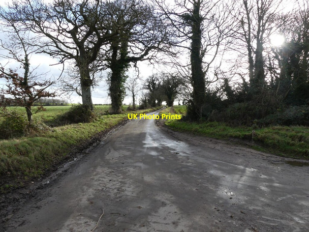 Photo 6"x4" South on Sandy Lane Frogshall c2022