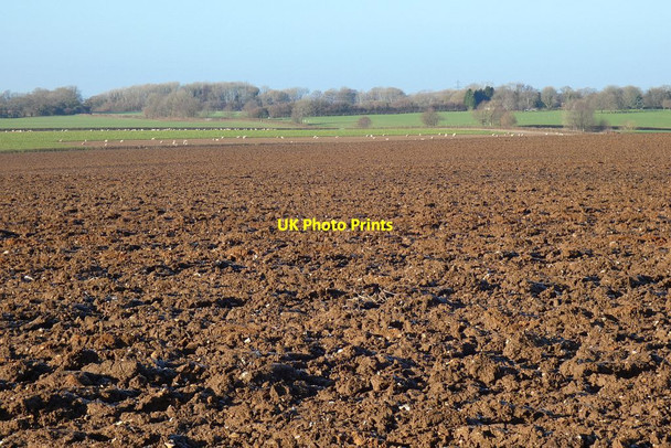 Photo 6"x4" Farmland, Ropley Charlwood\/SU6731 c2022