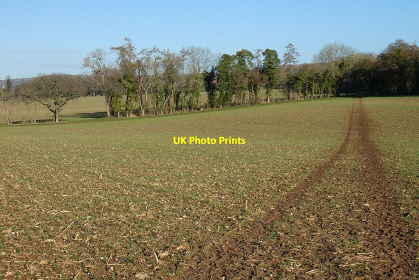 Photo 6"x4" Farmland, Ropley Ropley c2022
