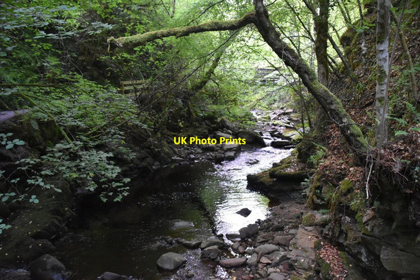 Photo 6"x4" Golspie Burn Backies\/NC8302 c2021 P1