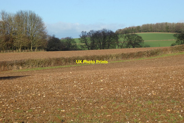 Photo 6"x4" Farmland, Bramdean Bramdean c2022