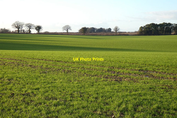 Photo 6"x4" Farmland, West Tisted West Tisted c2022