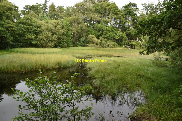 Photo 6"x4" Small lake Backies\/NC8302 c2021 P1