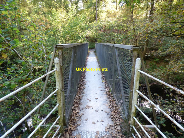 Photo 6"x4" Footbridge over the River Vyrnwy Llanwddyn c2016