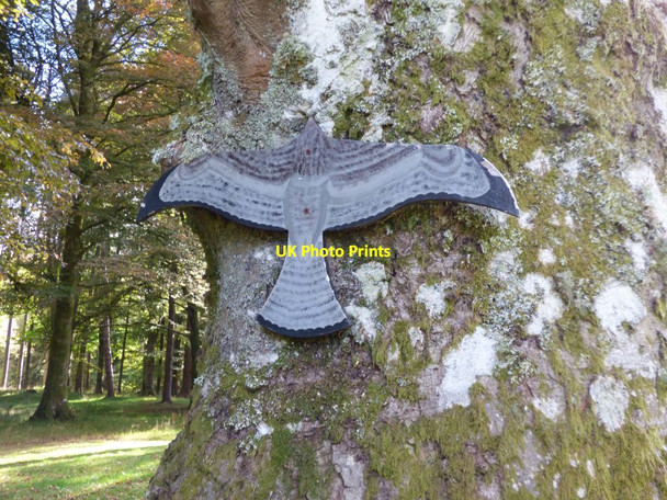 Photo 6"x4" Hawk carving Llanwddyn c2016
