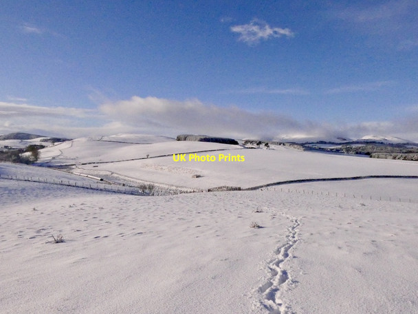 Photo 6"x4" View towards Blyth Hill Blyth\/NT1345 c2022
