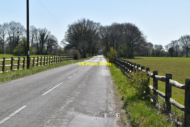 Photo 6"x4" Bones Lane Horne c2021 P1