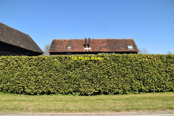 Photo 6"x4" Glen Farm Domewood c2021