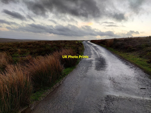 Photo 6"x4" The Port Way on the Long Mynd Medlicott\/SO4094 c2022