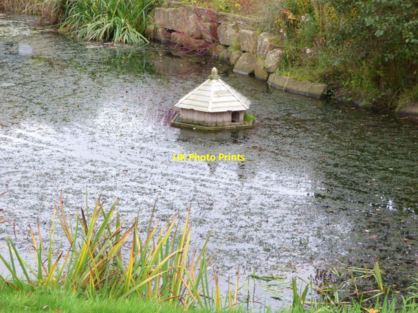 Photo 6"x4" Water bird house Harrogate c2016