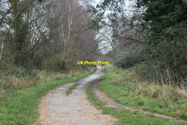 Photo 6"x4" Castleman Trailway, northeast from West Moors West Moors c2022