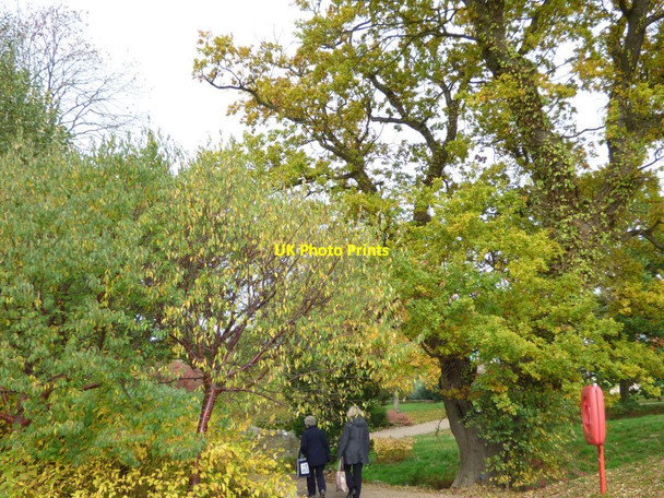 Photo 6"x4" Paths through the garden Harrogate c2016