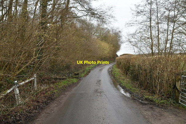Photo 6"x4" Forge Rd Birchden c2021