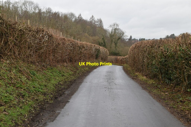Photo 6"x4" Forge Rd Birchden c2021